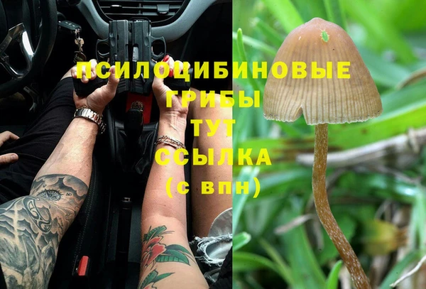 MESCALINE Михайловск